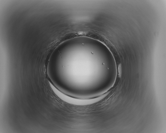 X0000113101443200908281338