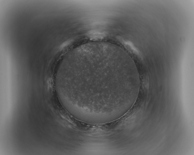 X0000113101445200908281338