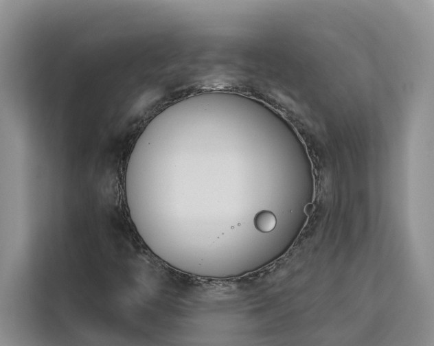 X0000113101446200908281338