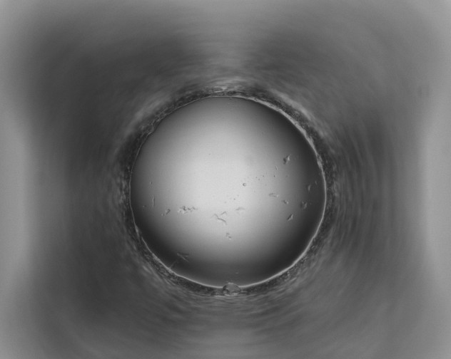 X0000113101447200908281338
