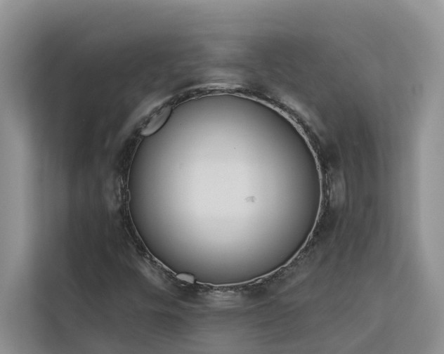 X0000113101448200908281338