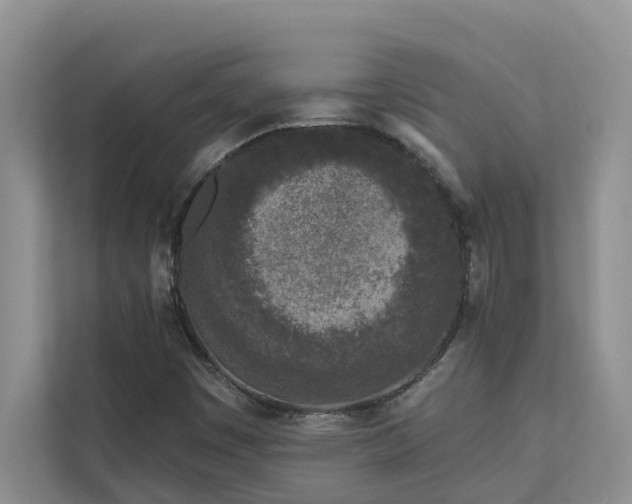 X0000113101449200908281338