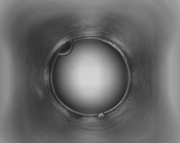 X0000113101450200908281338