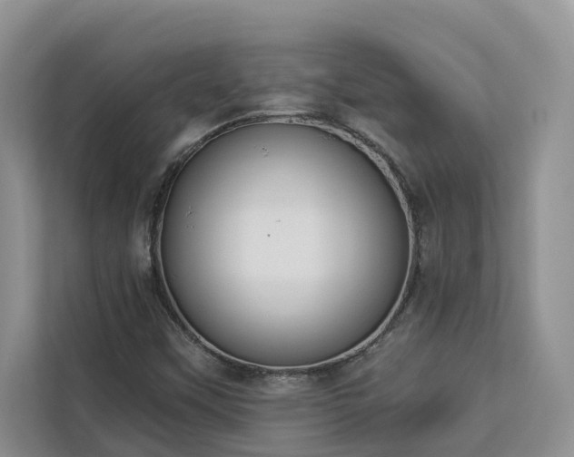 X0000113101451200908281338