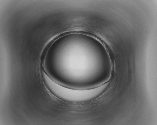 X0000113101452200908281338