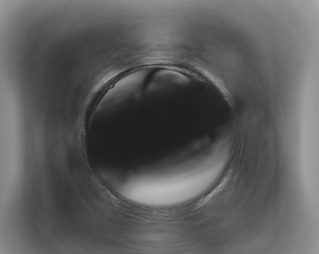 X0000113101453200908281338