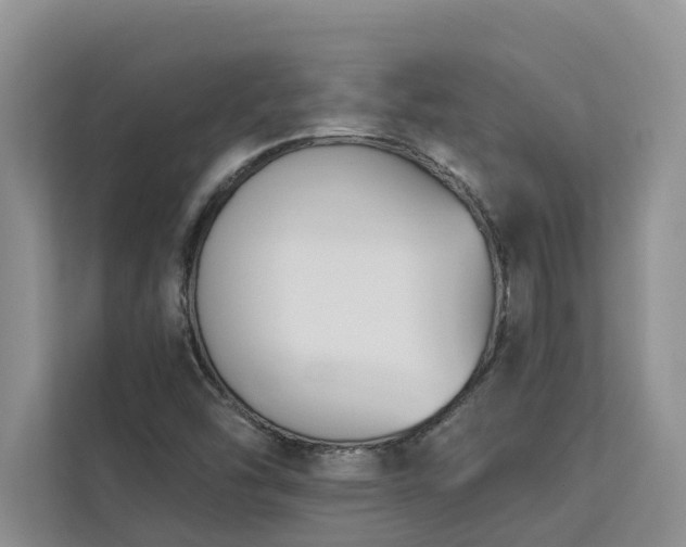 X0000113101454200908281338