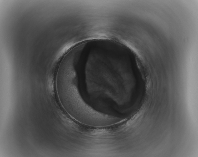 X0000113101455200908281338