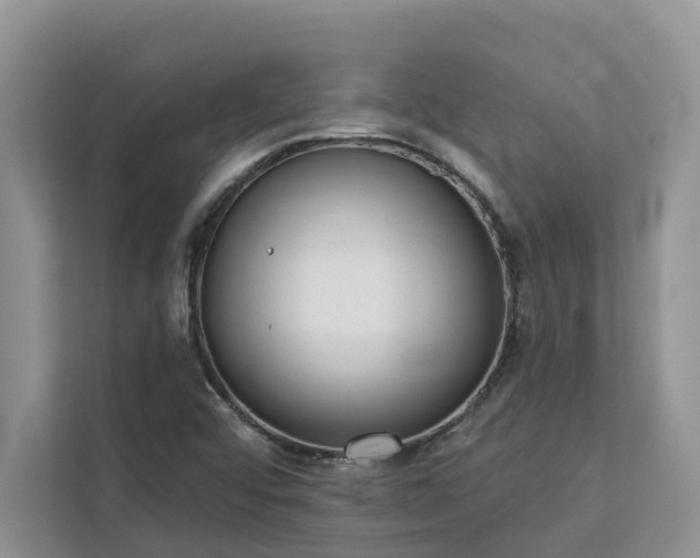 X0000113101456200908281338