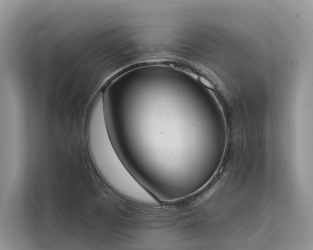 X0000113101457200908281338