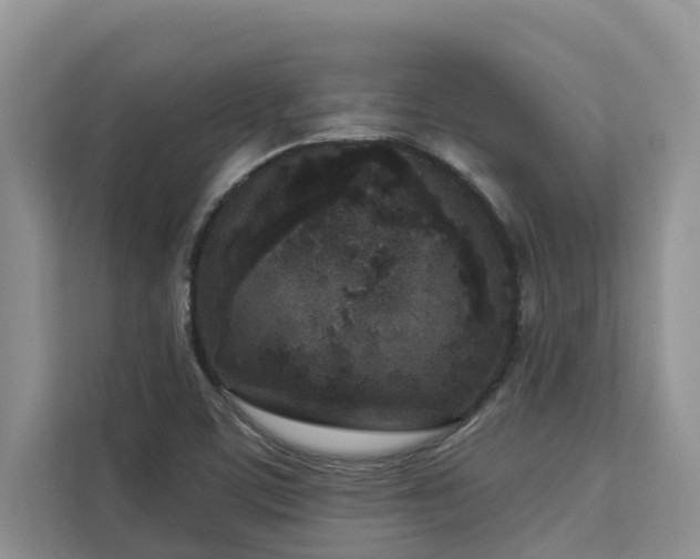 X0000113101459200908281338