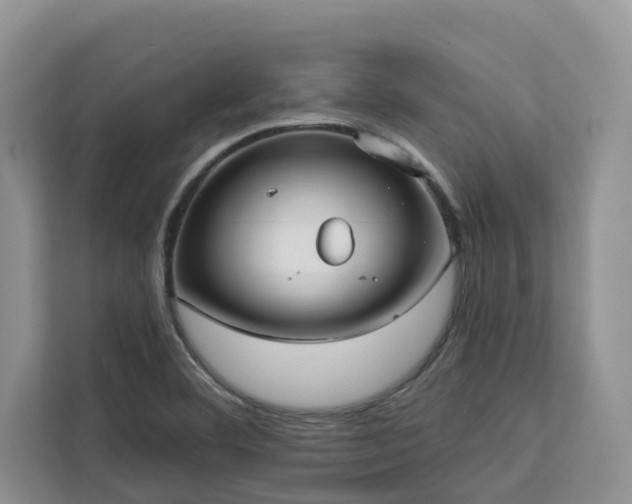 X0000113101460200908281338