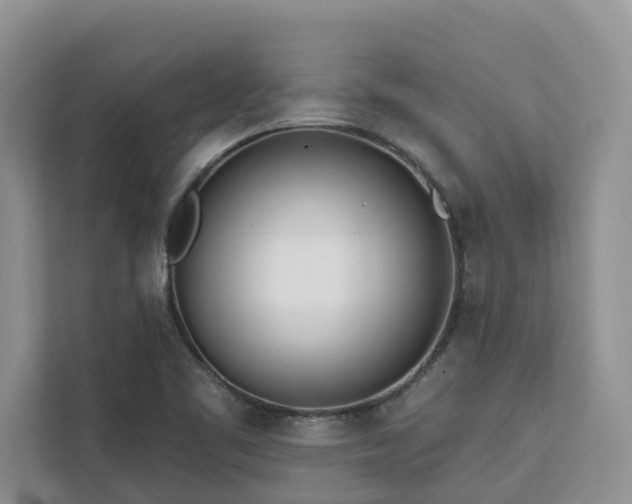X0000113101461200908281338