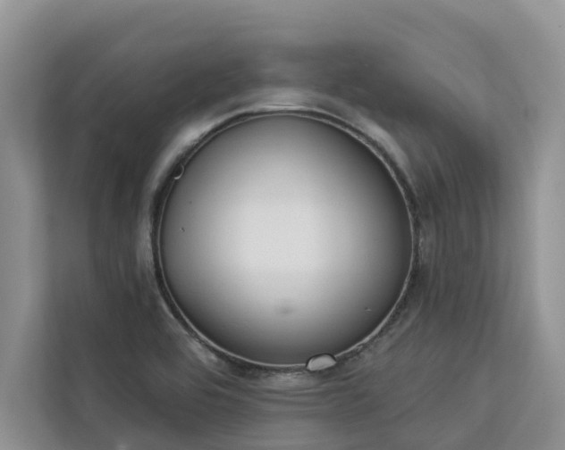 X0000113101464200908281338