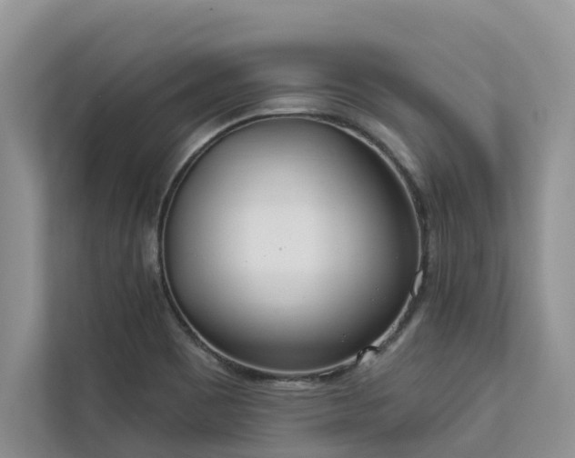 X0000113101465200908281338