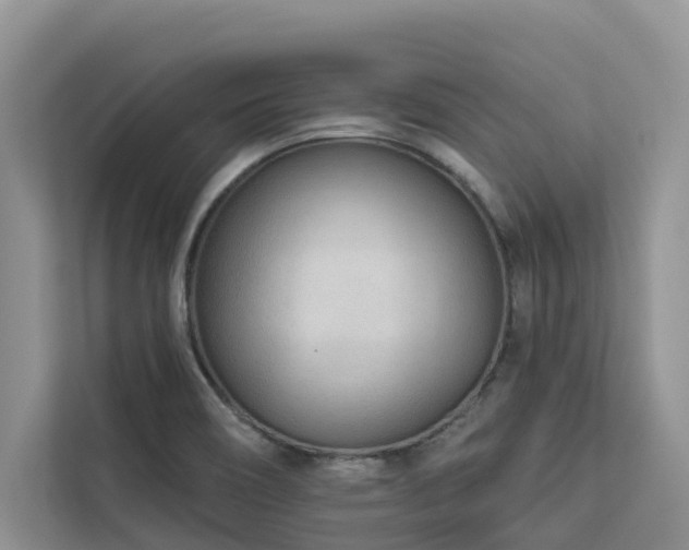 X0000113101466200908281338
