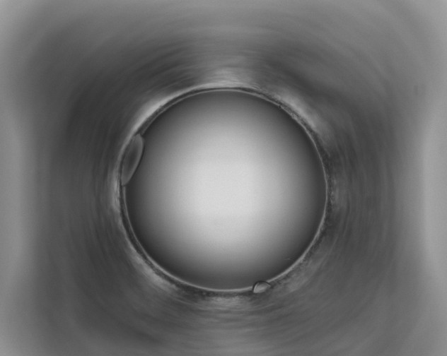 X0000113101468200908281338