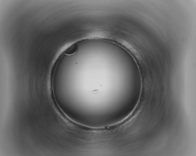 X0000113101469200908281338
