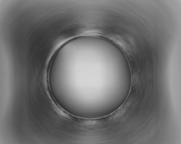 X0000113101470200908281338