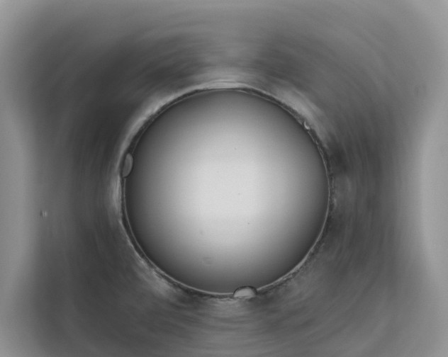 X0000113101472200908281338