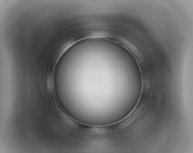 X0000113101473200908281338