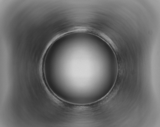 X0000113101475200908281338