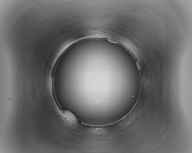 X0000113101476200908281338