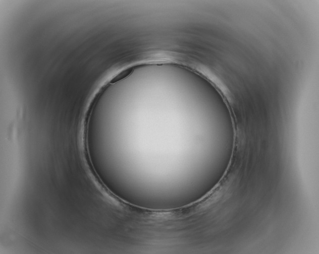 X0000113101477200908281338