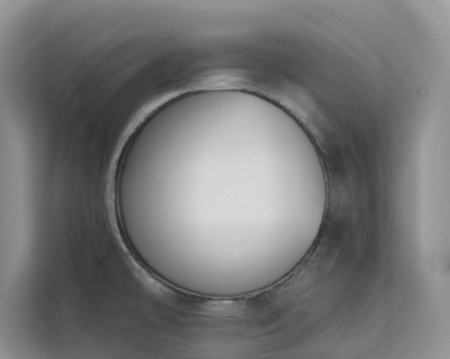 X0000113101478200908281338