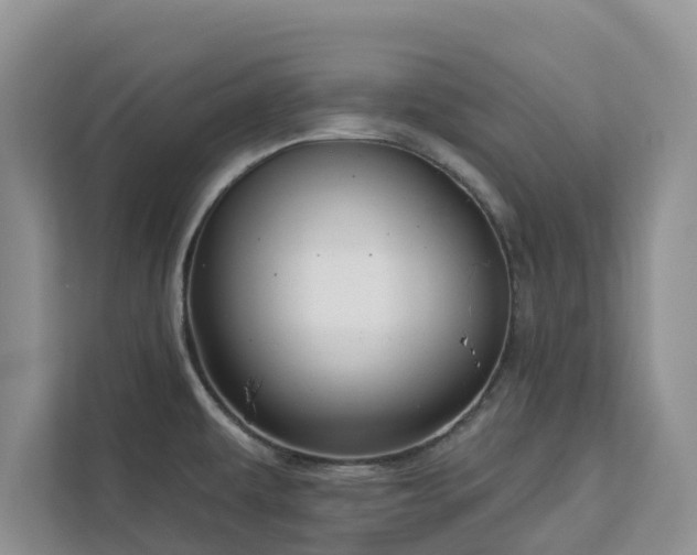 X0000113101479200908281338