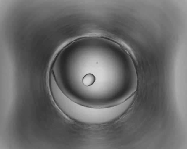 X0000113101480200908281338