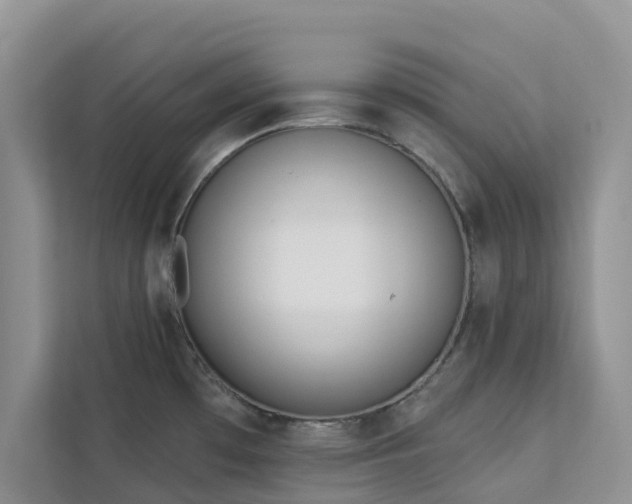 X0000113101481200908281338