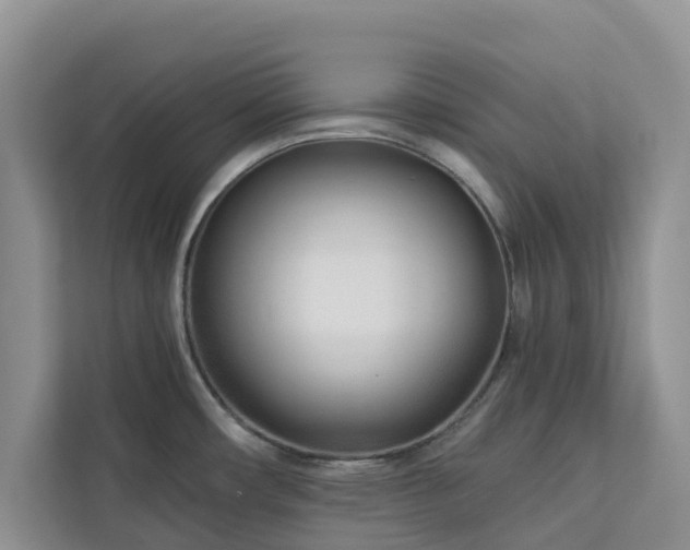 X0000113101482200908281338