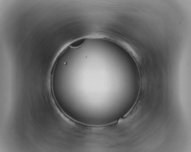 X0000113101484200908281338