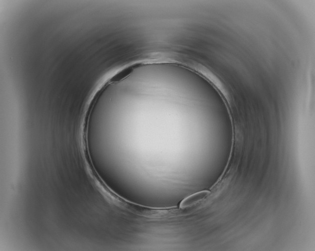 X0000113101485200908281338