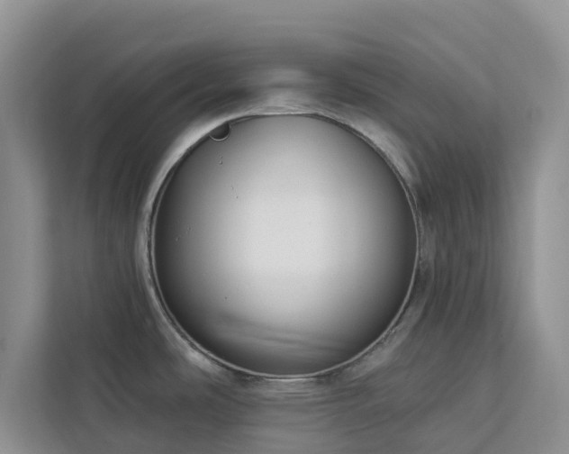 X0000113101486200908281338
