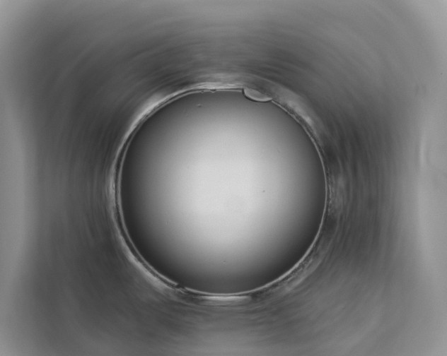 X0000113101487200908281338