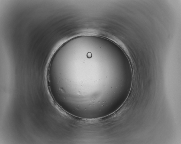 X0000113101488200908281338