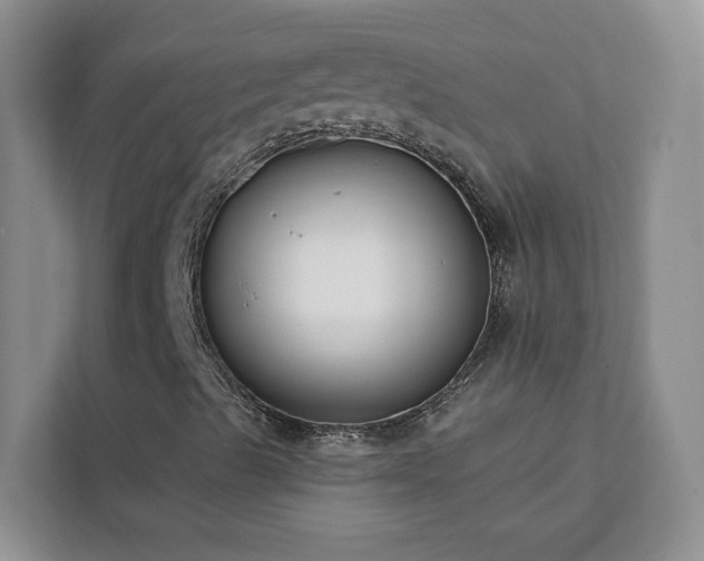 X0000113101489200908281337