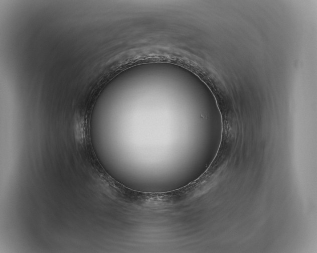 X0000113101490200908281337