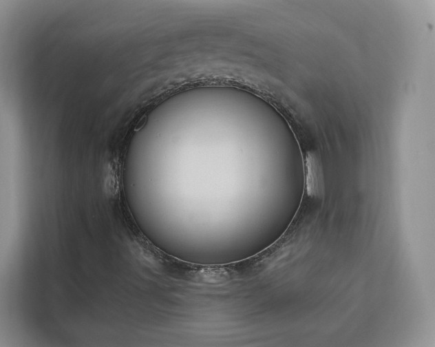 X0000113101491200908281337