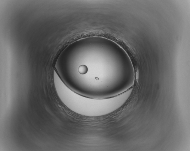 X0000113101492200908281337