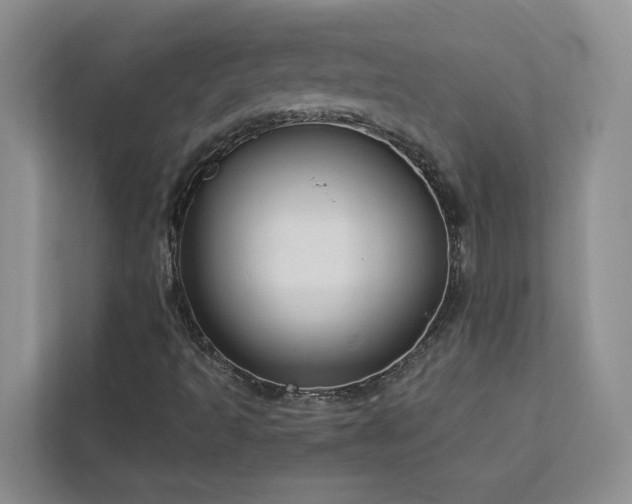 X0000113101493200908281337