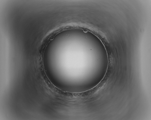 X0000113101494200908281337