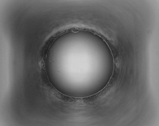 X0000113101495200908281337