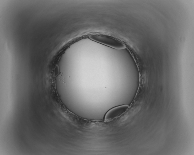X0000113101496200908281337