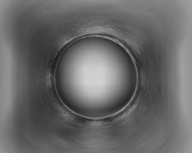 X0000113101497200908281337