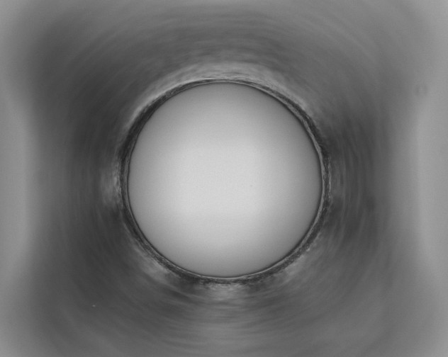 X0000113101498200908281337
