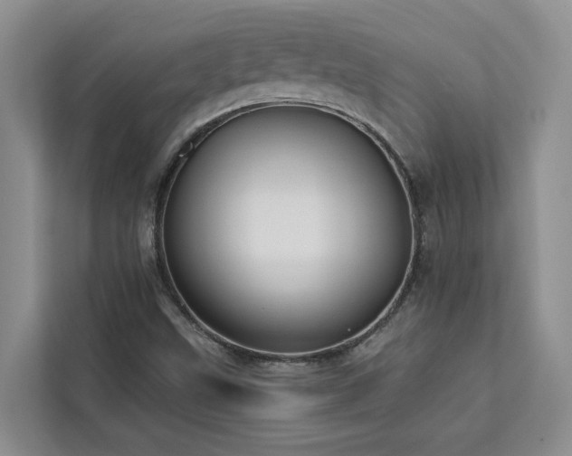 X0000113101499200908281337