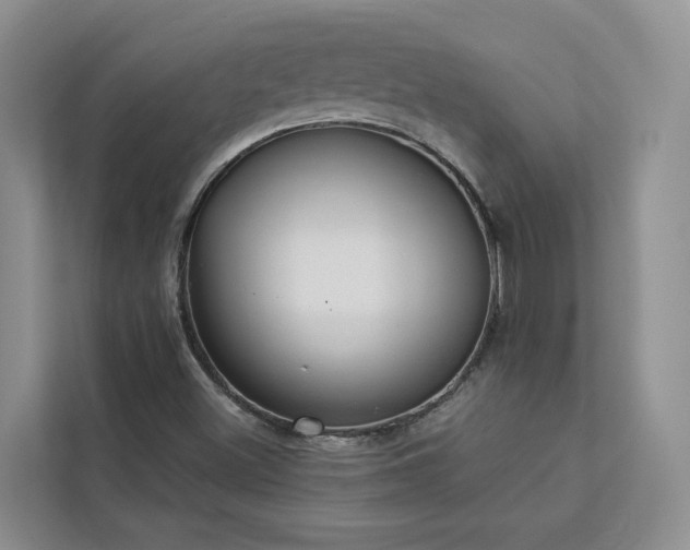 X0000113101500200908281337